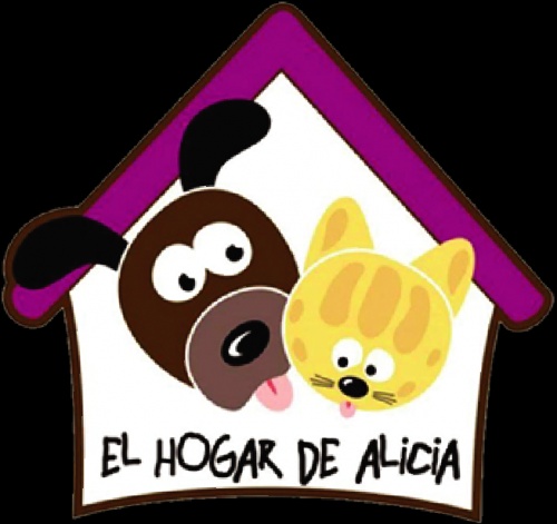 El hogar de Alicia