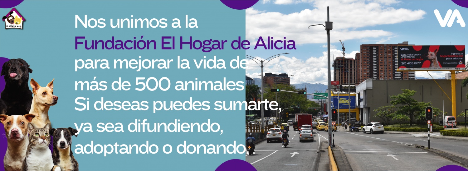 Campaña El hogar de alicia